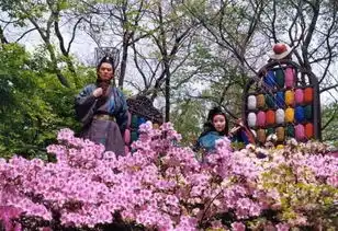 许晴版笑傲江湖经典剧照,勾起了无数回忆