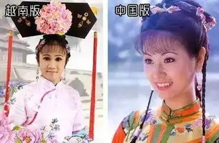 盘点那些年被越南翻拍的神剧
