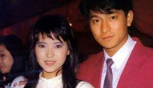 悲惨的罗慧玲,就是现实中的蓝洁瑛,想说爱你不容易
