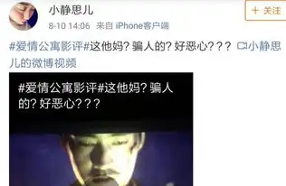 爱情公寓大卖是中国电影的耻辱电视剧