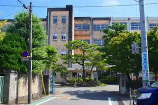 静冈清水市的樱桃小丸子