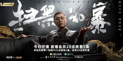 新艺联作品电视剧扫黑风暴角色海报
