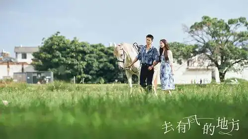 2023回乡见闻年轻人正在跟风返乡
