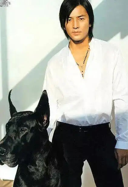 郑伊健当年有多帅多红郑伊健年轻十八岁的照片
