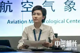 中国机长曝剧照陈数焦俊艳阚清子冯文娟出演
