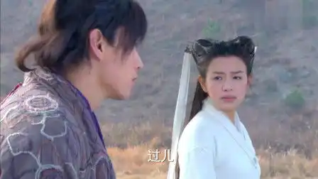 新神雕侠侣全集
