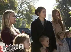 生活大爆炸衍生剧大小谎言什么男篮亚青赛时候播出剧情简介及演员表