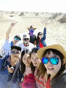 南来北往扬青春的鞍马
