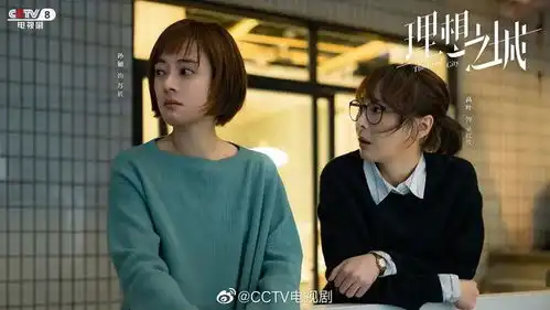 专访导演刘进明规则如何照进理想之城