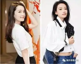 娱乐圈中长相酷似的明星,如今竟有这么大差别
