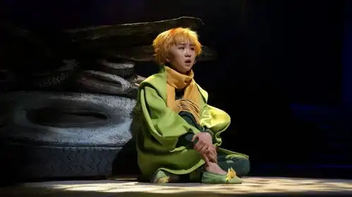 当法国的小王子以这样的方式火遍中国