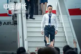 中国机长曝光多张新剧照袁泉欧豪造型曝光
