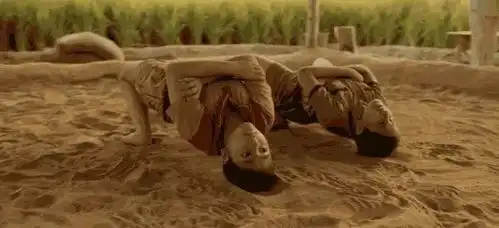 留法学习体验我在法国的体育课摔跤吧胖友