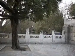 颐和园云龙纹望柱头被盗露天文物丢失非孤例
