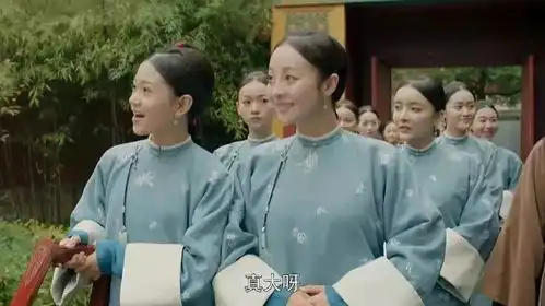 程序员在延禧攻略里能挺几集
