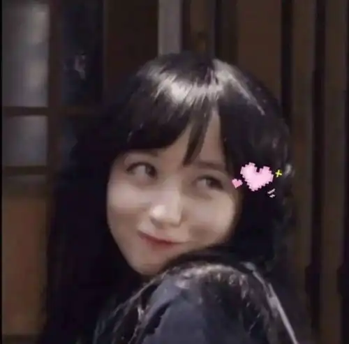 你找了很久的热门表情包