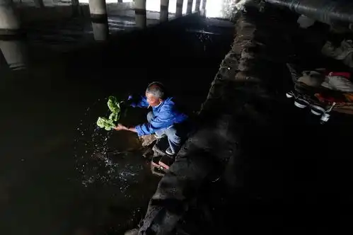 六旬老人蜗居桥洞下12年