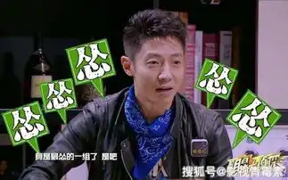 明星大侦探第五季路透照何炅井柏然现身,撒贝宁不见踪影