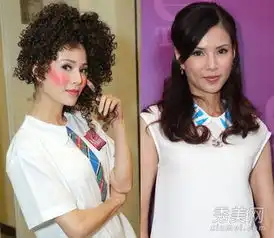 李若彤杨幂大s女神容貌逐年变残似村姑
