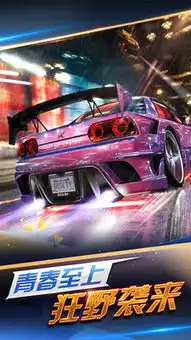 极速青春之狂野飞车