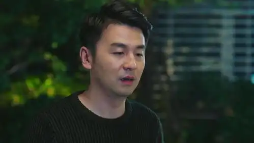 我的前半生佳清失恋后,凌玲大声责骂,陈俊生耐心开导
