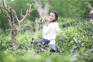 爸妈2柳岩玩穿越变身知青三下乡