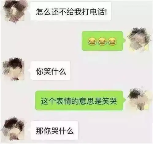 爸妈让我解释表情包