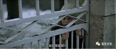 玺东影讯放牛班的春天
