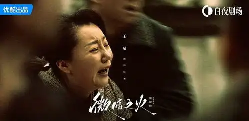 比黑暗荣耀更直击人心的悬疑故事,被微暗之火拍透了