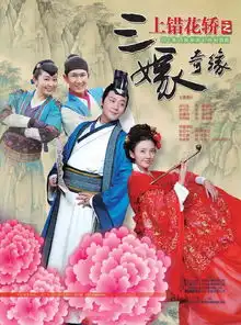 上错花轿之三嫁奇缘剧照
