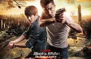 痞子英雄之黎明升起剧情介绍电影
