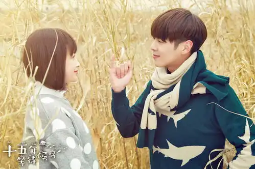 候鸟构建暗恋联盟主演分享暗恋经历
