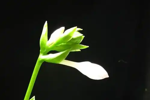 进入5月份,这4大生肖的人,财运辉煌灿烂,运势大涨发展
