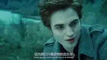 暮光之城暮色

