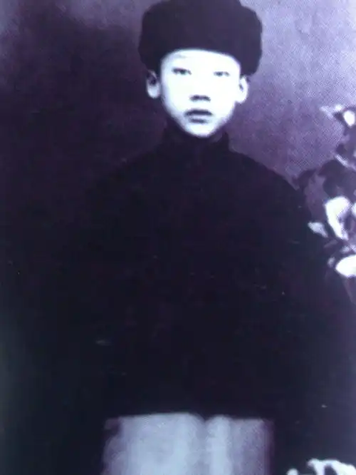 柏龙启中国京剧史之杨宝森
