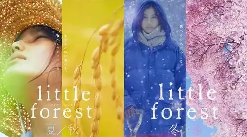 当众人沉醉于你的名字的逼真炫目,这6部手绘动画电影带你重拾最初的感动
