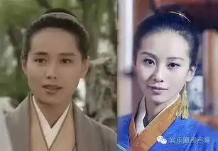 娱乐圈和刘诗诗撞脸的女明星竟然这么多