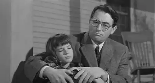 美国律师职业伦理第一案叫我,我就是一部出租车
