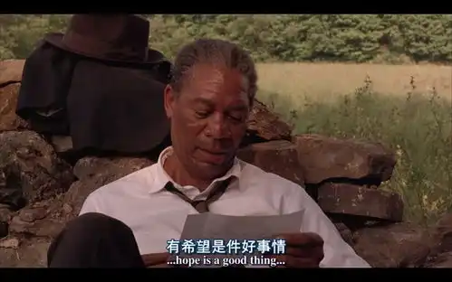 肖申克的救赎
