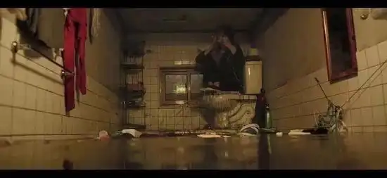 top5女作家张晓晗翻车一个马桶塞引发的血案
