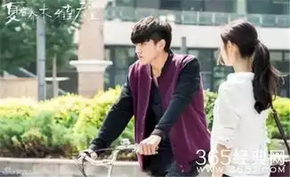 夏有乔木雅望天堂电影