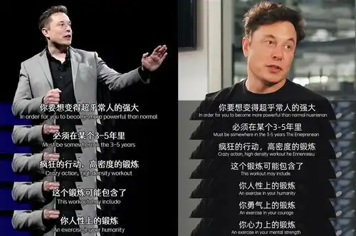 马斯克余华罗翔,组团在互联网教人谈恋爱