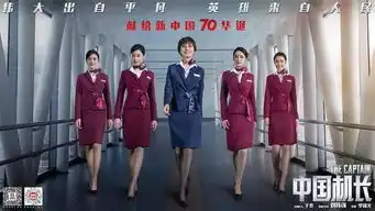 欢度国庆19.9元中国机长空乘天团英姿飒爽飞行员气宇轩昂
