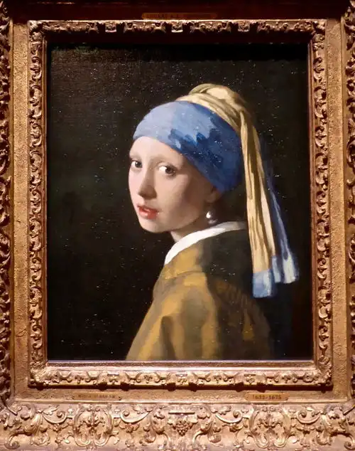 读书笔记戴珍珠耳环的少女
