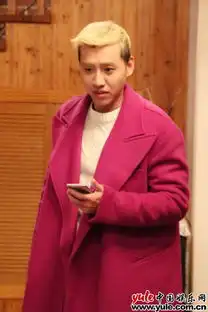 相爱穿梭千年杨森给力出击助攻正经夫妇复合
