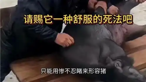 想吃猪肉又心疼猪,终于找到一种猪痛快的刑法