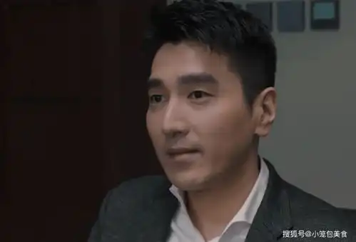 理想之城夏明能看清赵显坤的恐慌,能给汪明宇挖坑,太阴险