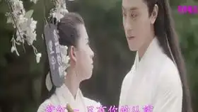 等到烟暖雨收壁纸连播
