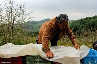 老人蜗居山中一个月为儿孙守财
