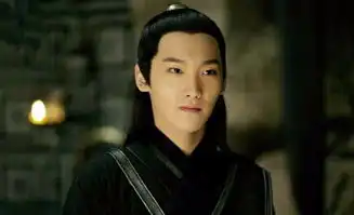 双世宠妃中八王爷毒太深邢昭林有国版暮光之城